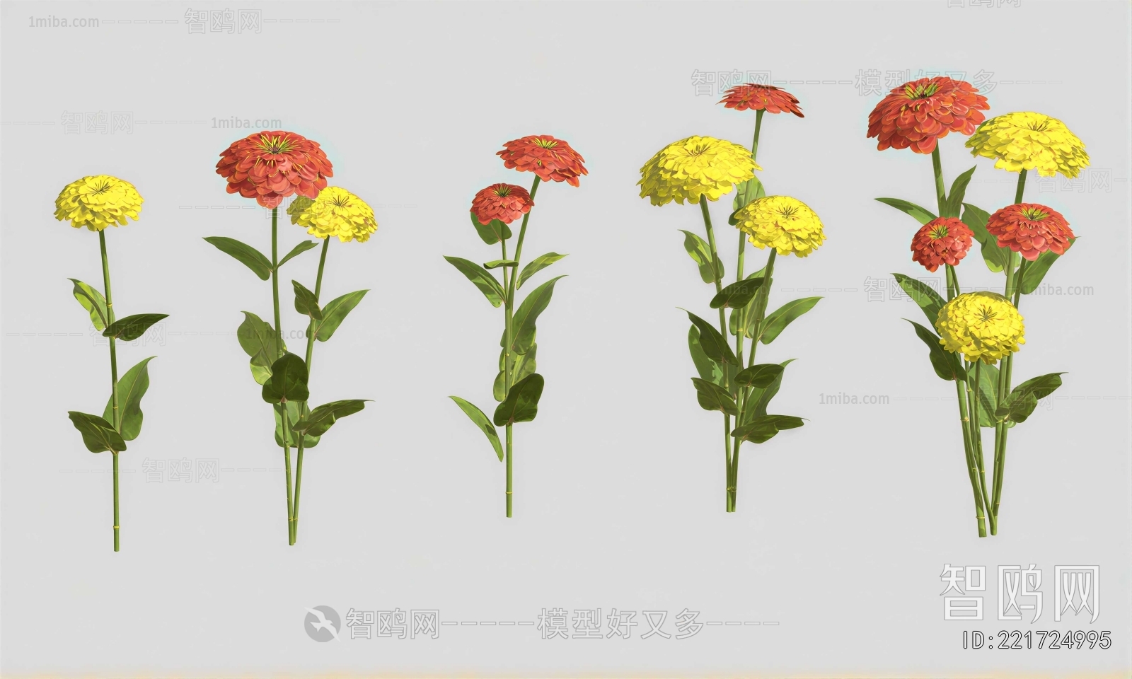 Modern Flowers And Grass