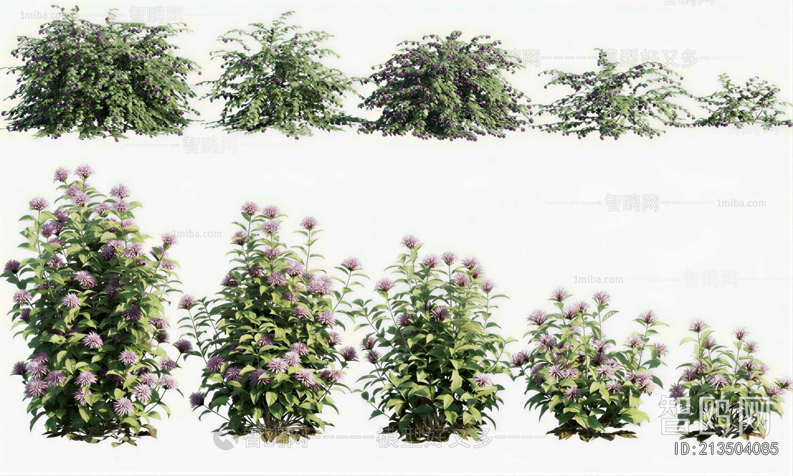 Modern Shrubbery