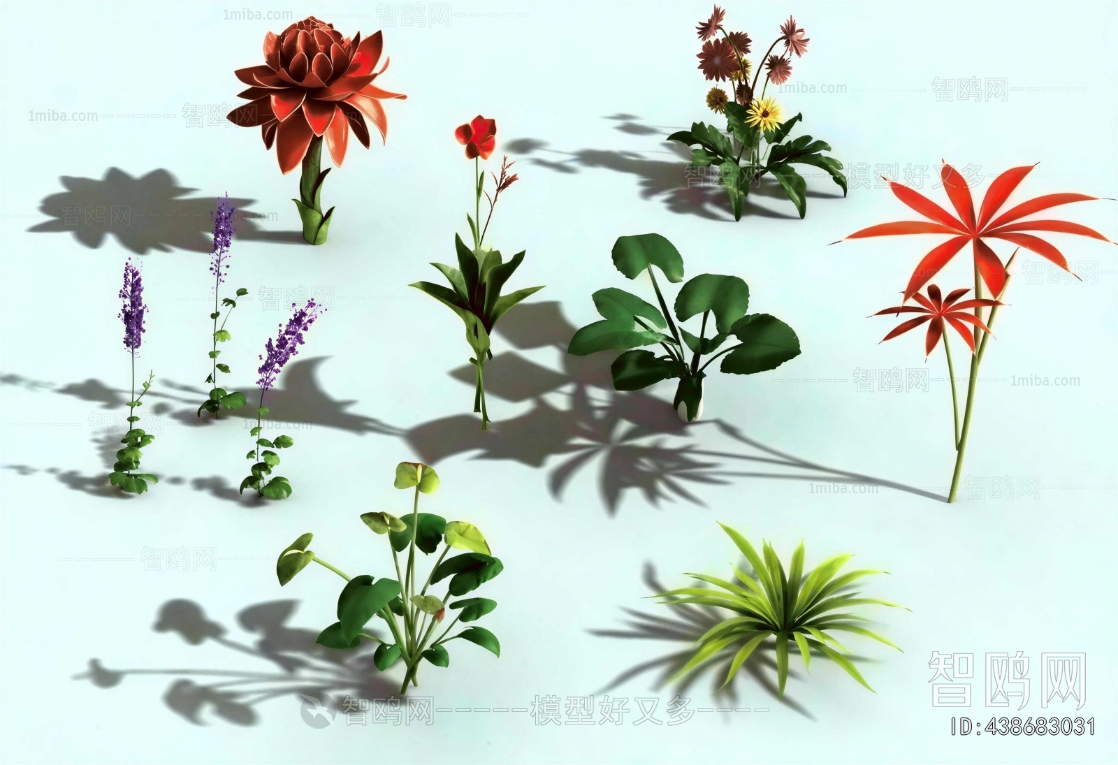 Modern Flowers And Grass