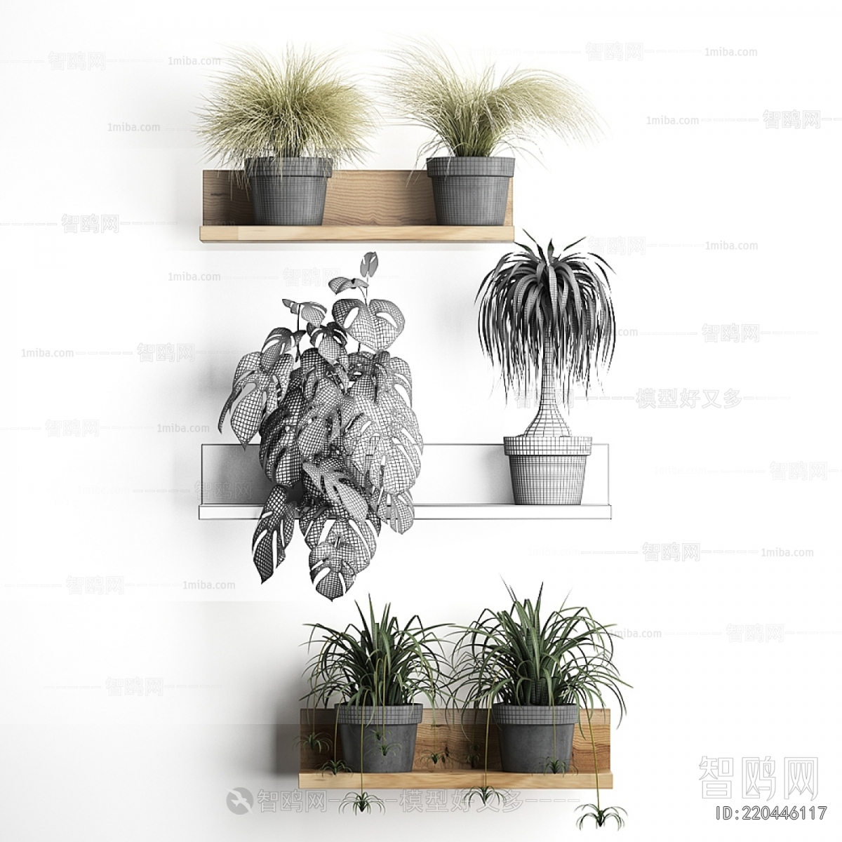 Modern Potted Green Plant