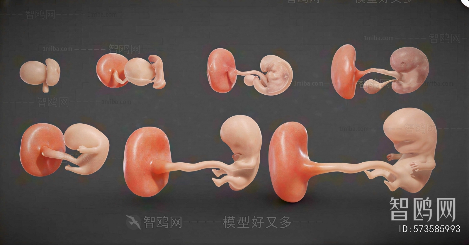 Modern Medical Equipment