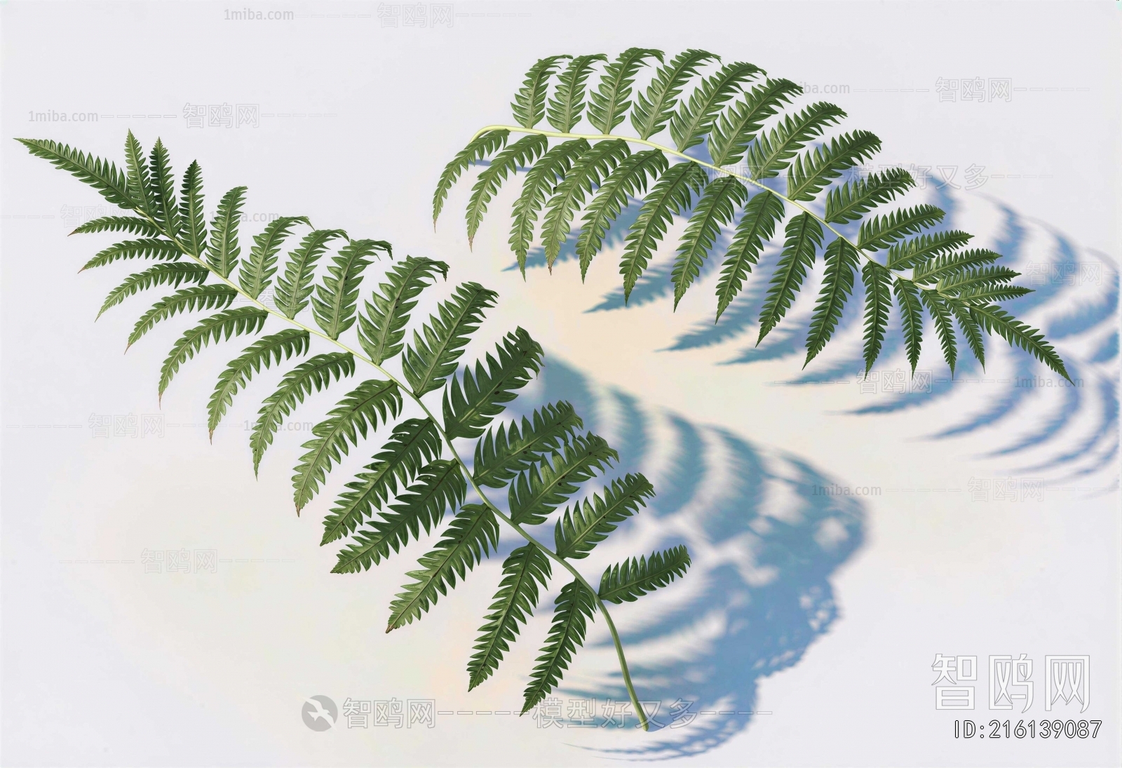 Modern Plant