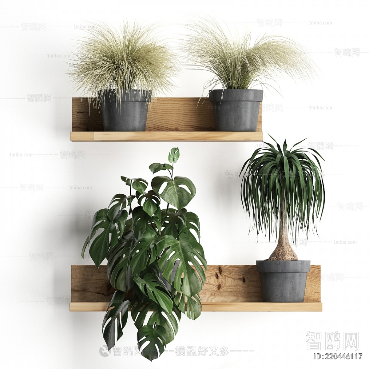 Modern Potted Green Plant