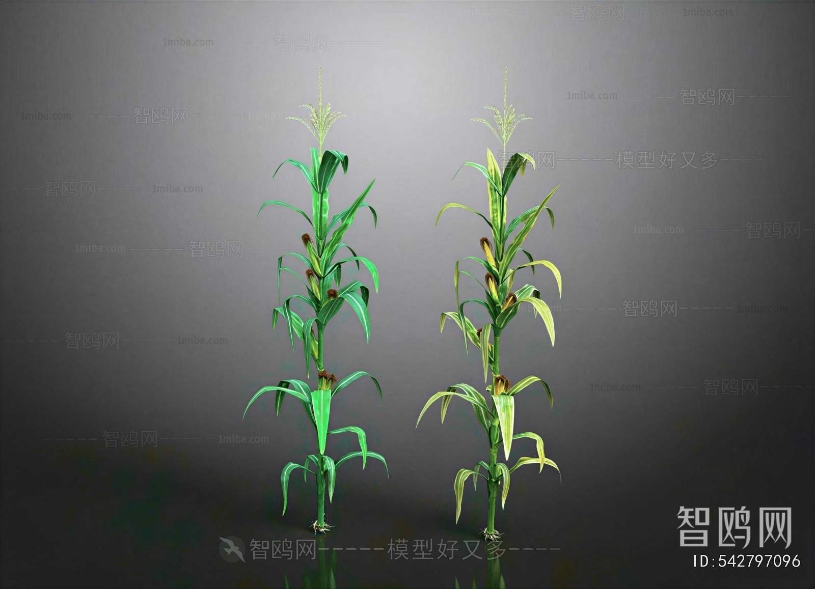Modern Crop