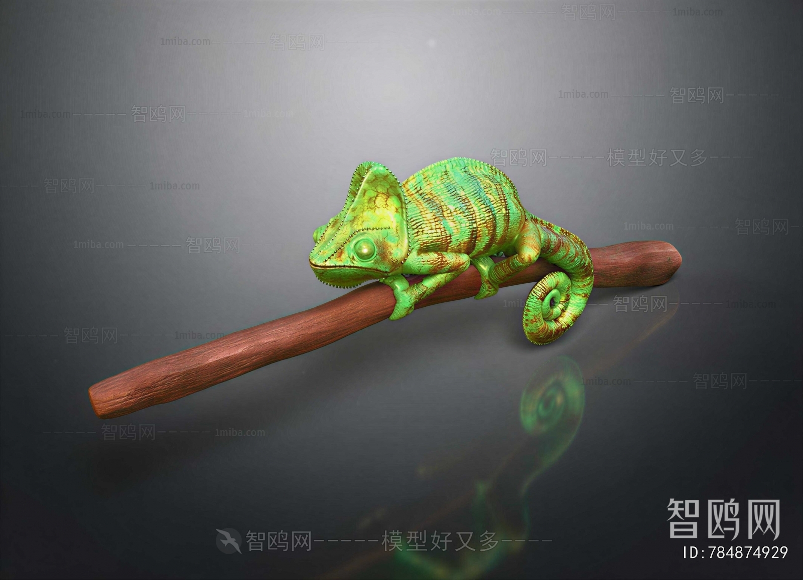 Modern Reptile