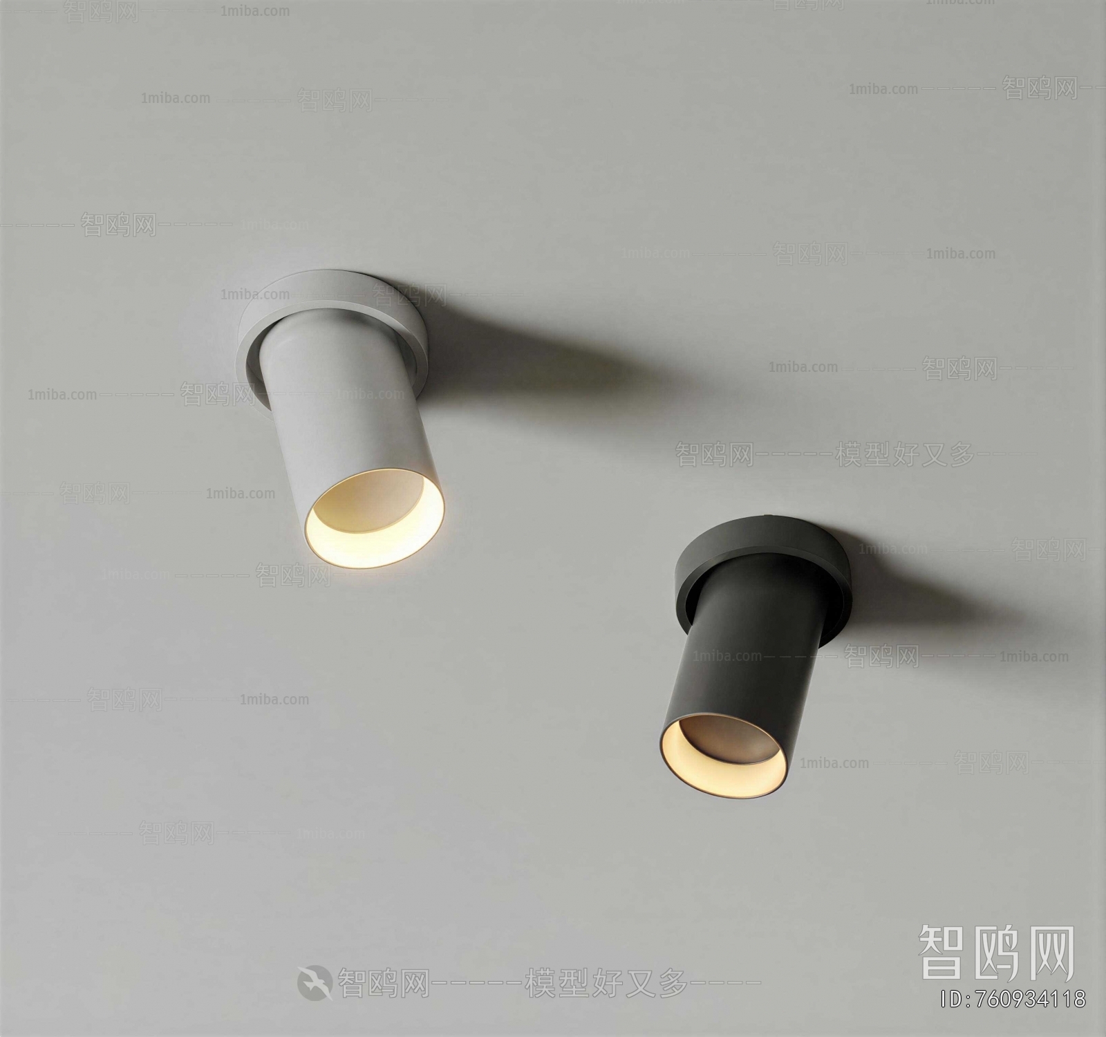 Modern Downlight Spot Light