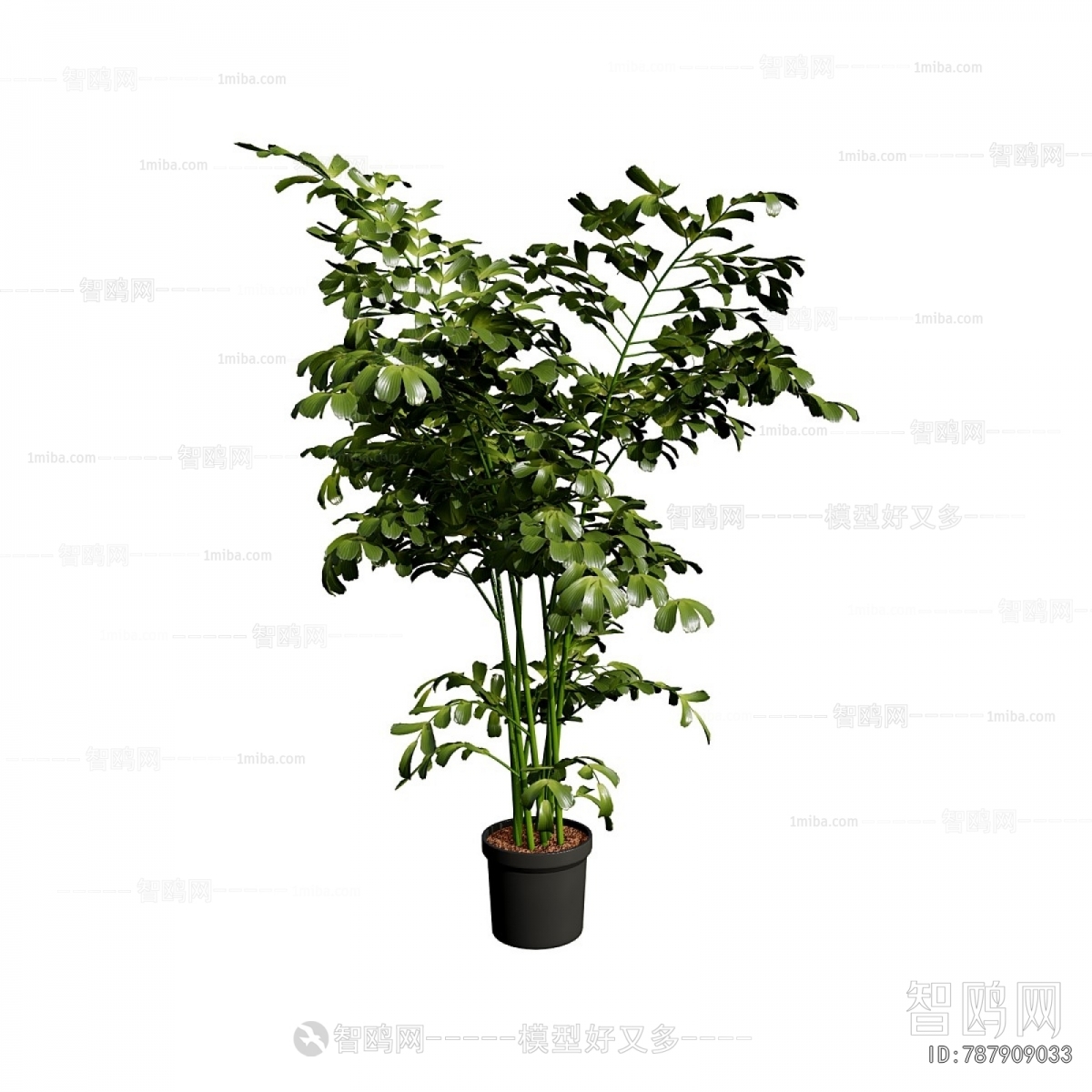 Modern Ground Green Plant Potted Plants