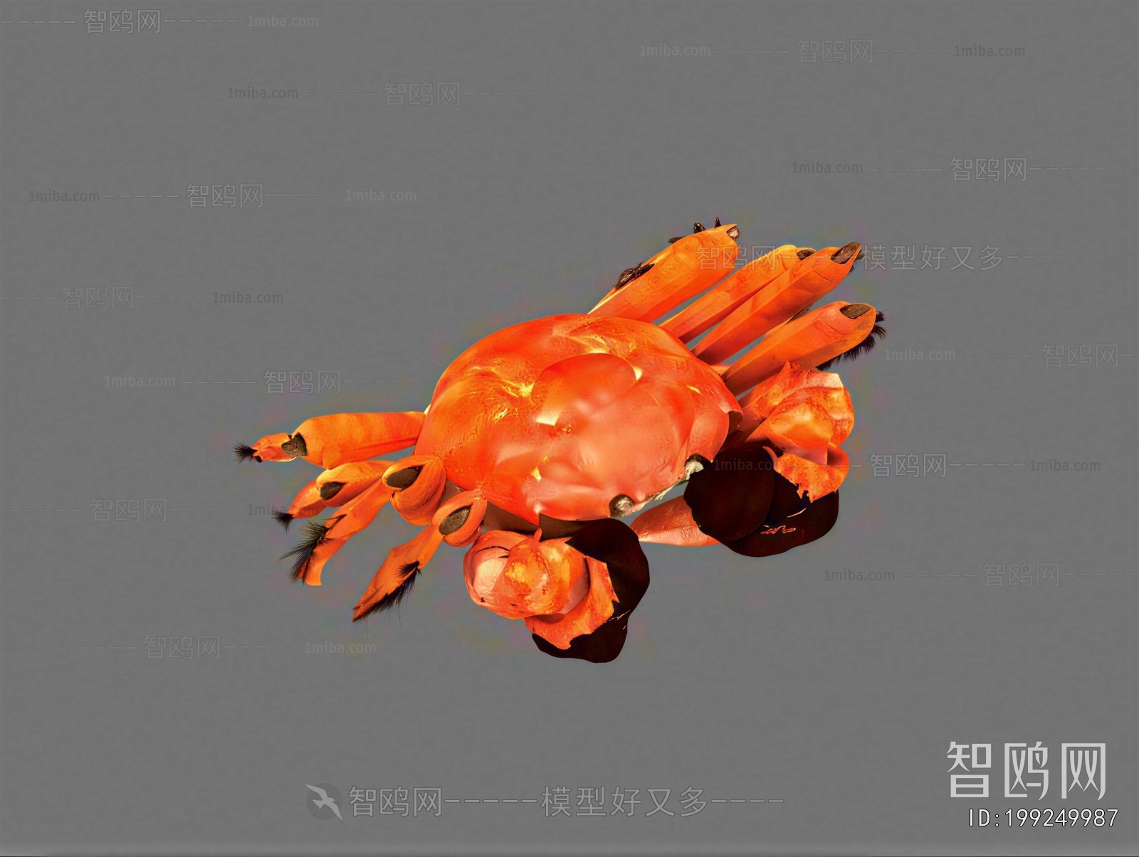 Modern Aquatic Product