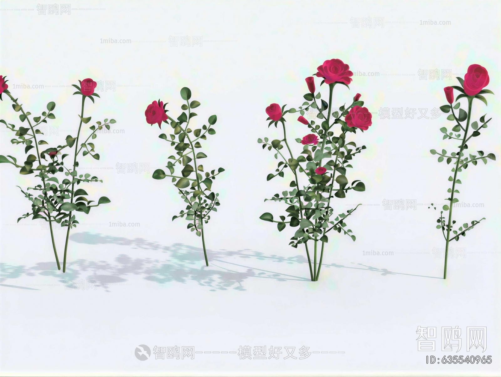 Modern Flowers And Grass