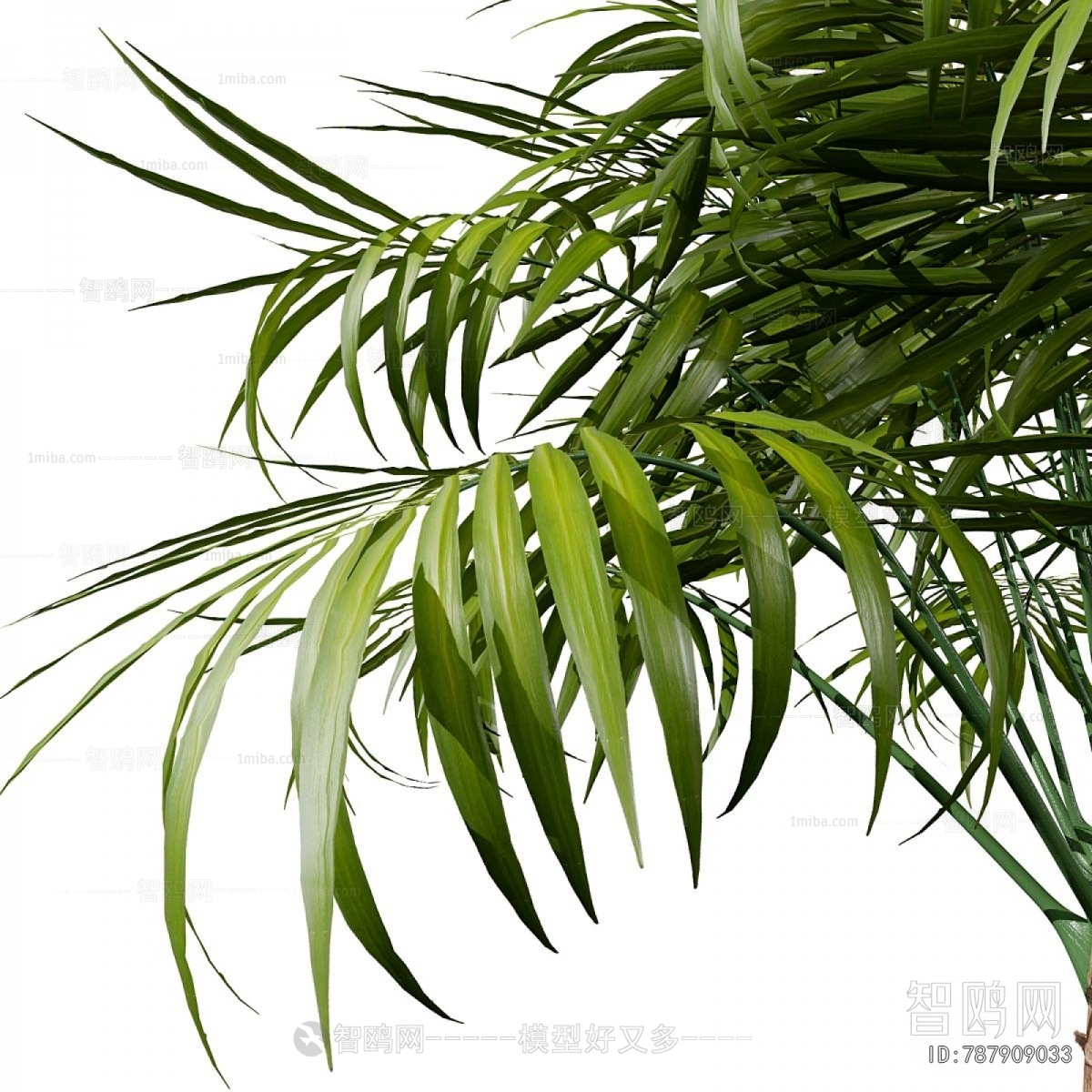 Modern Ground Green Plant Potted Plants