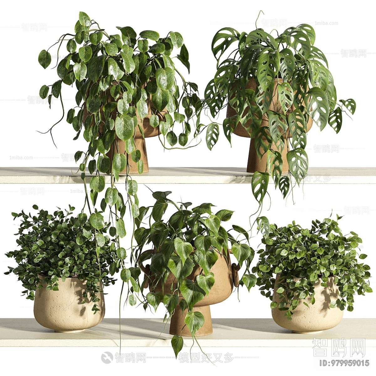 Modern Potted Green Plant