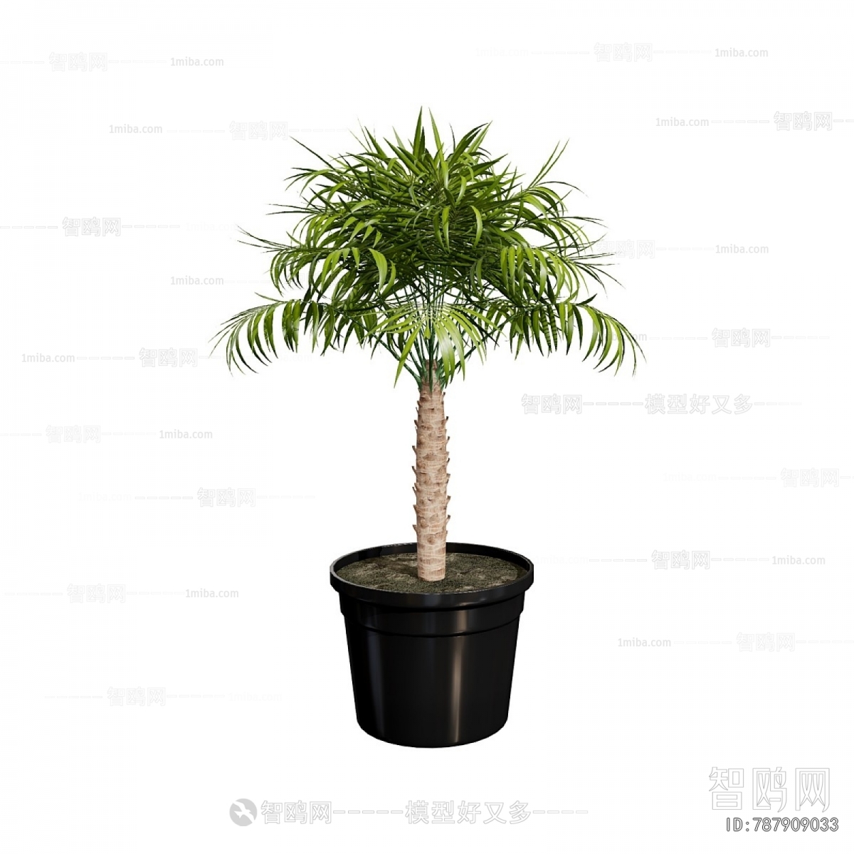 Modern Ground Green Plant Potted Plants