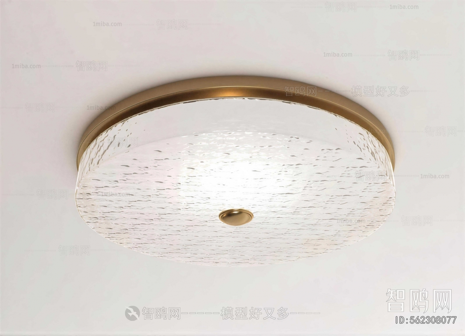 Modern Ceiling Ceiling Lamp