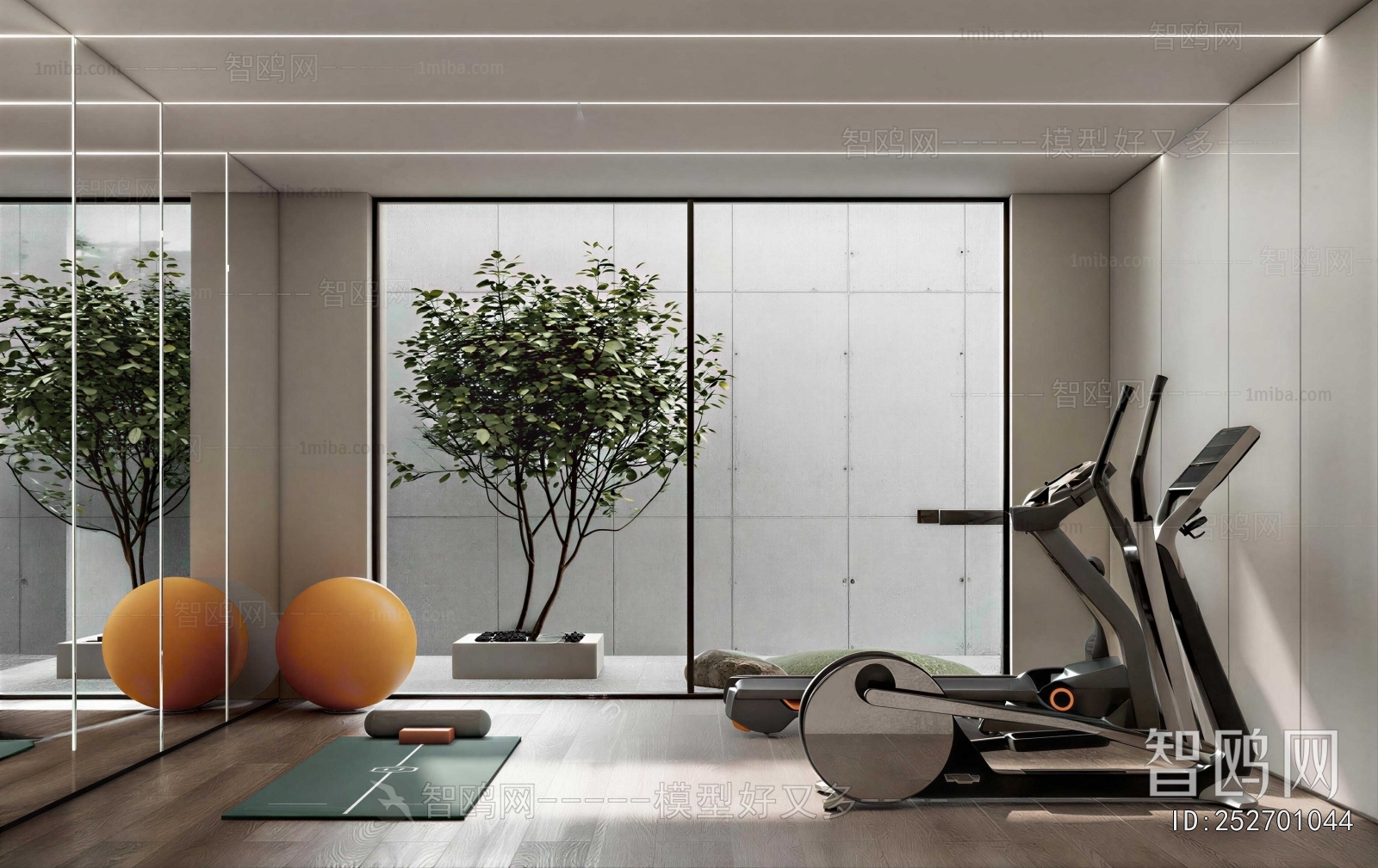 Modern Home Fitness Room