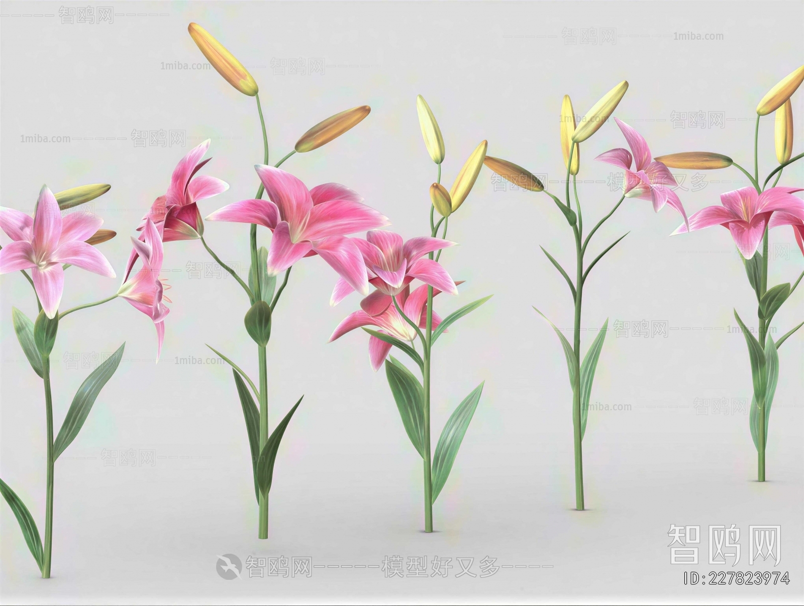 Modern Flowers And Grass