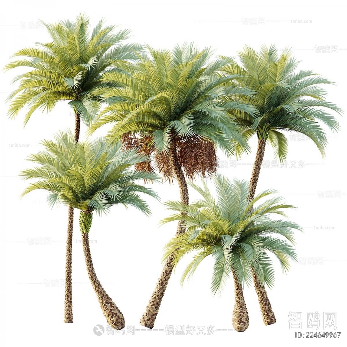 Modern Tree
