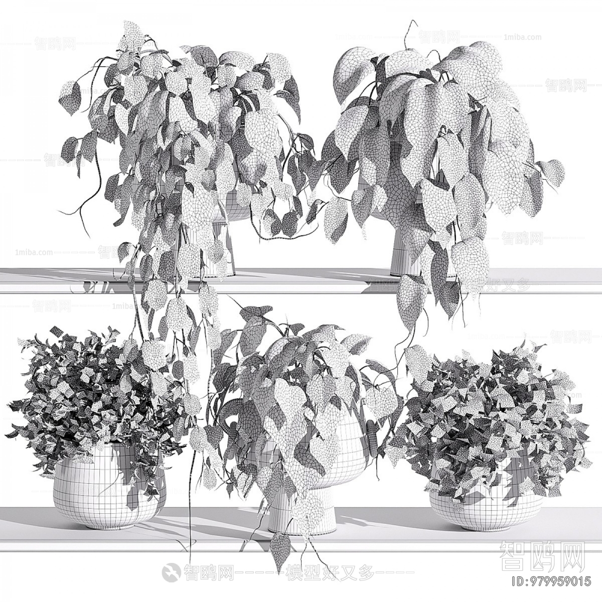 Modern Potted Green Plant