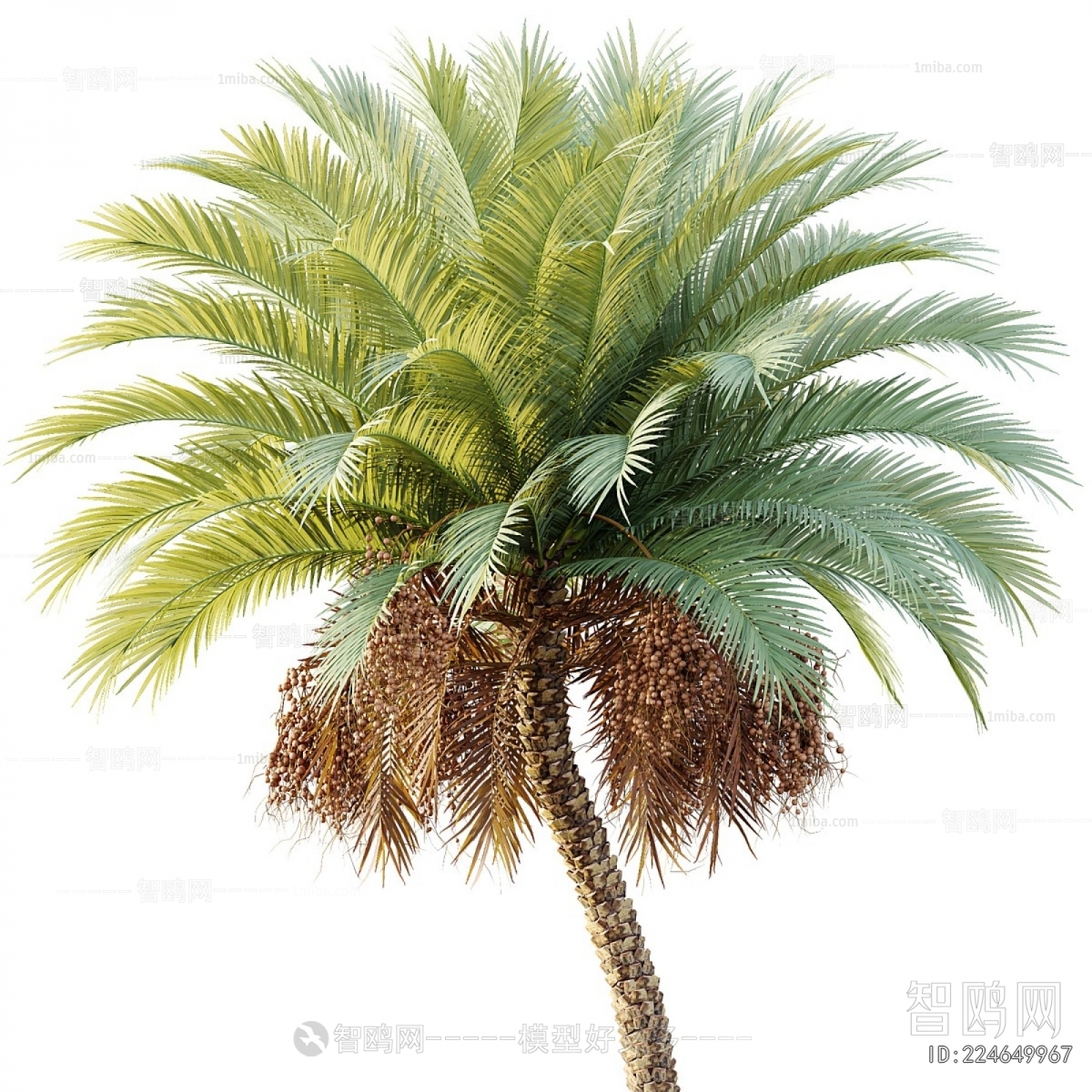 Modern Tree
