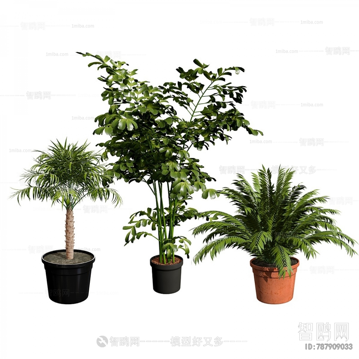 Modern Ground Green Plant Potted Plants