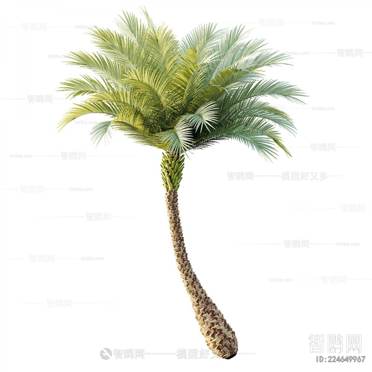 Modern Tree