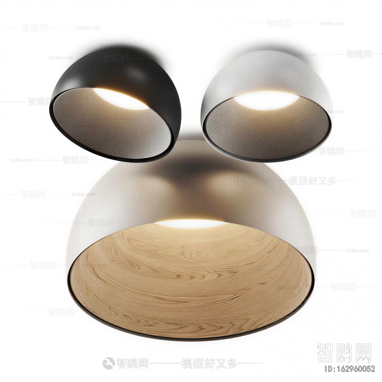 Modern Ceiling Ceiling Lamp