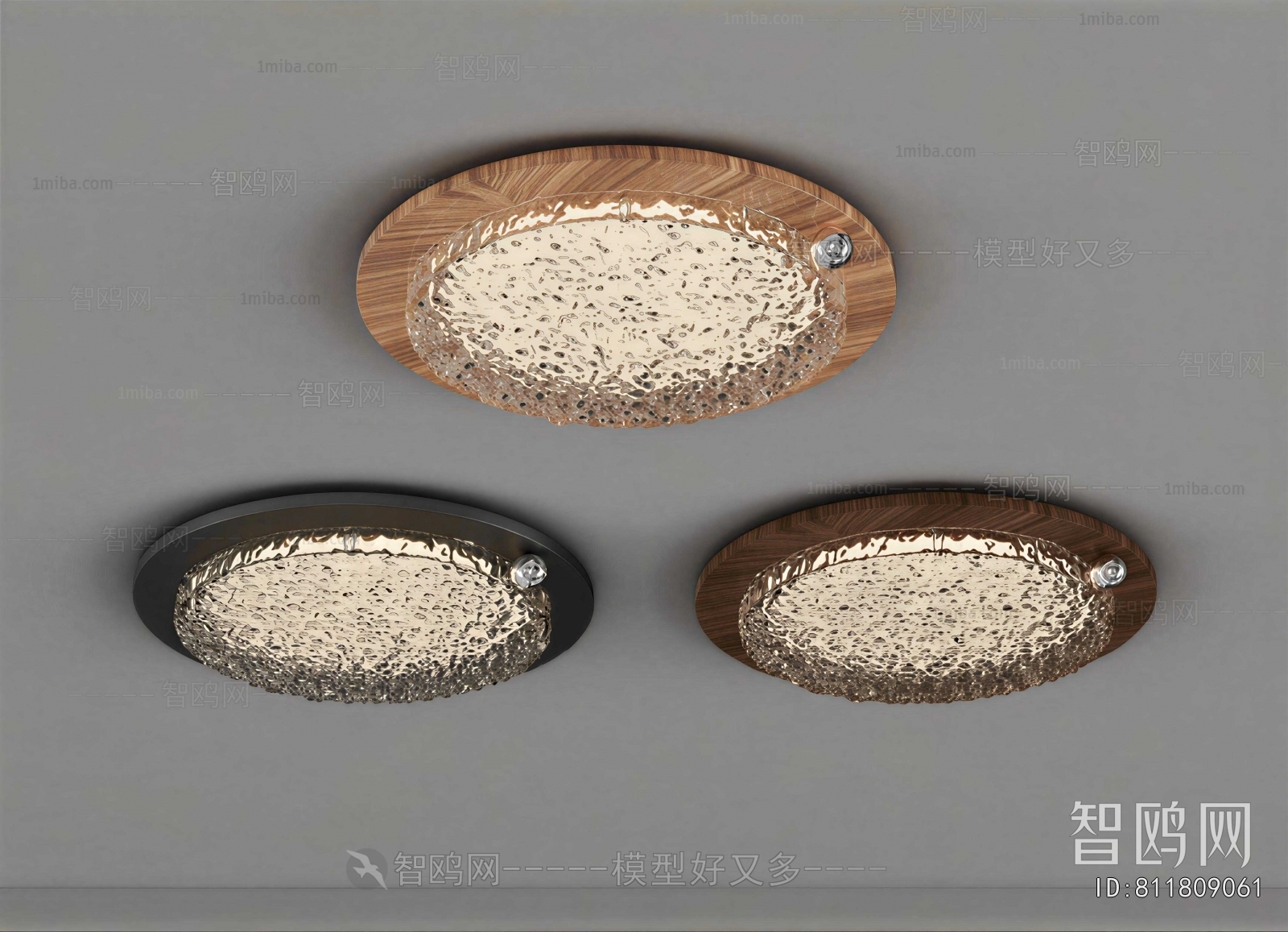 Modern Ceiling Ceiling Lamp
