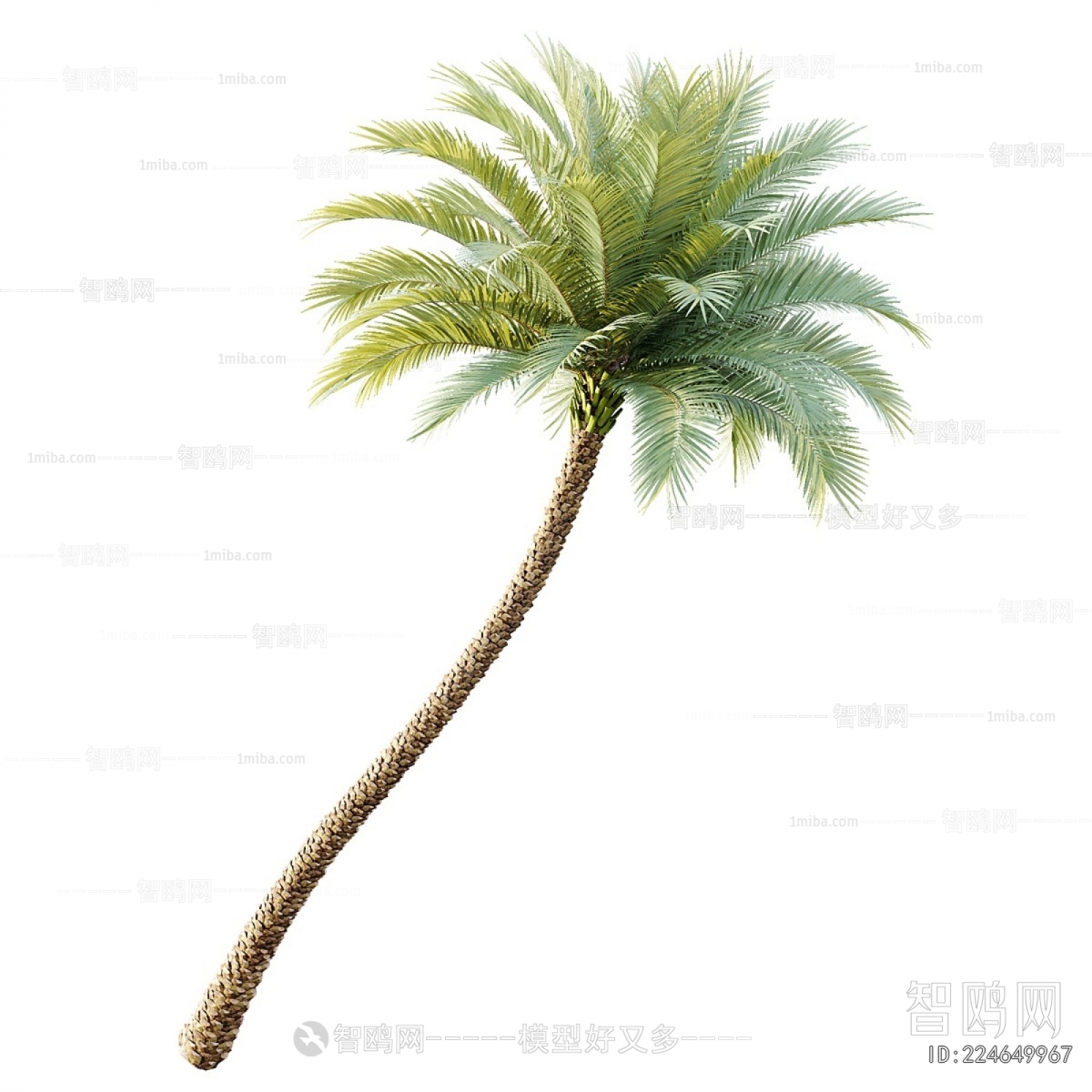 Modern Tree
