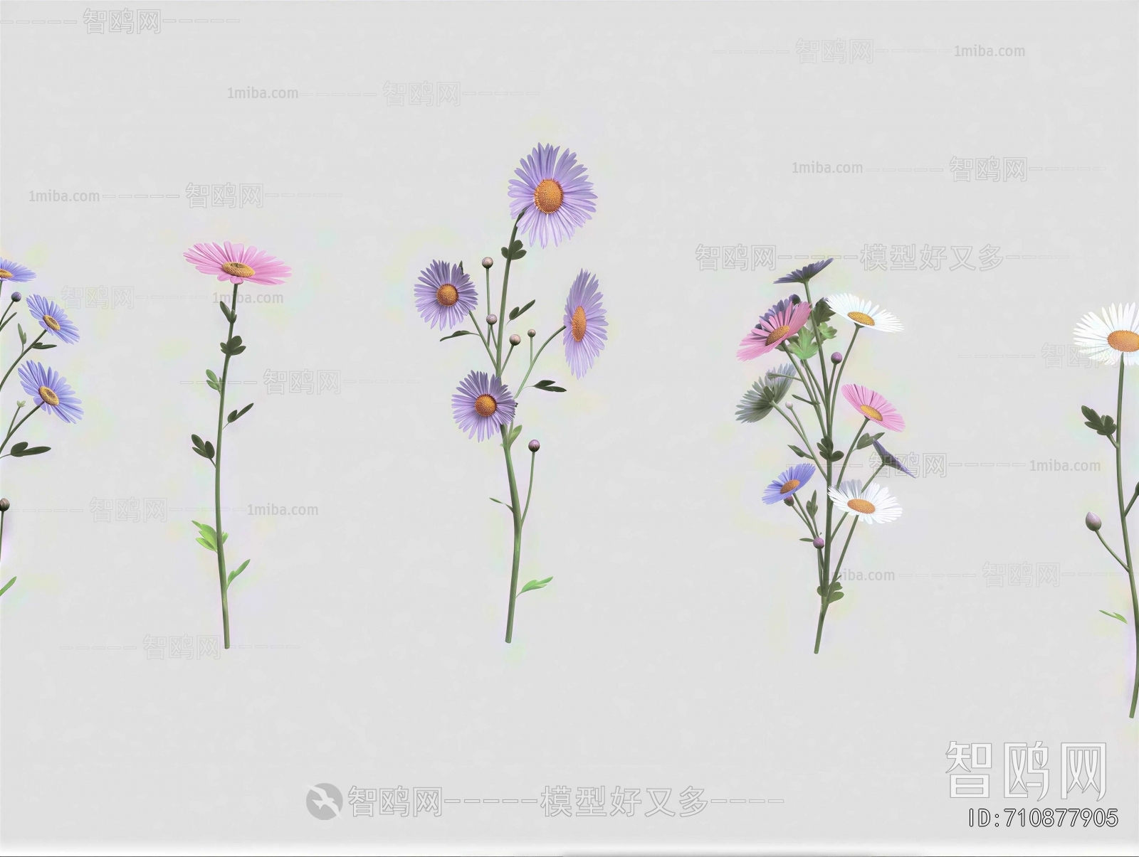 Modern Flowers And Grass