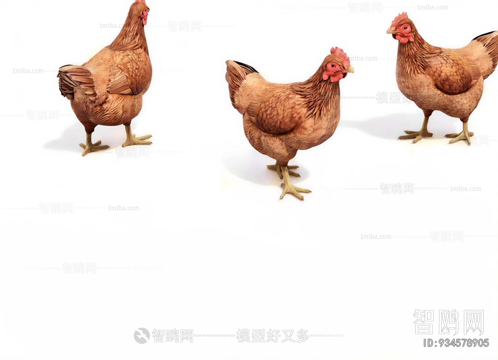 Modern Poultry Animal