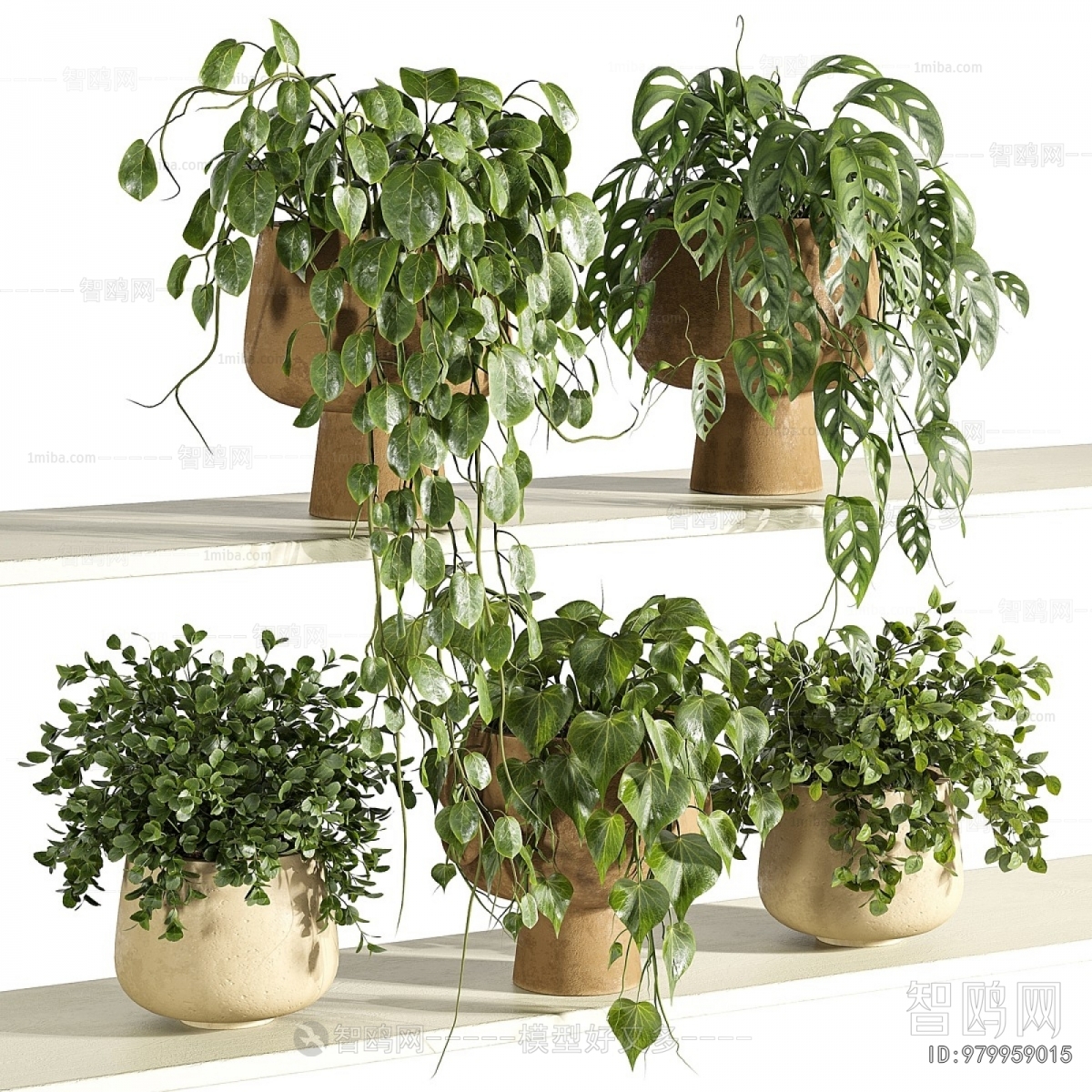 Modern Potted Green Plant
