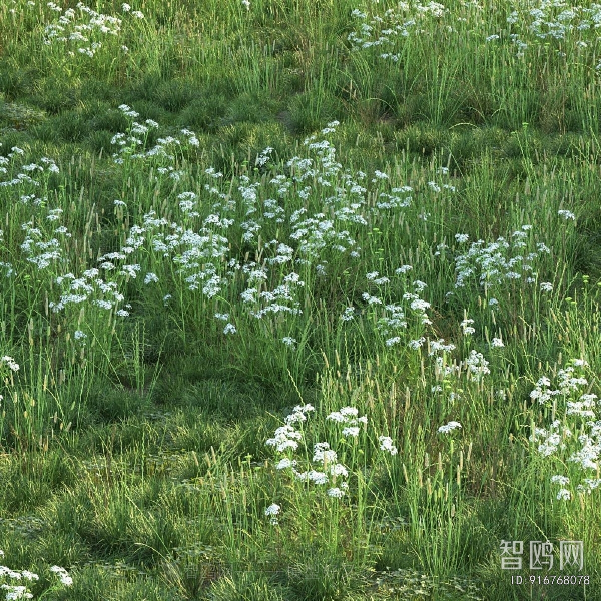 Modern Flowers And Grass