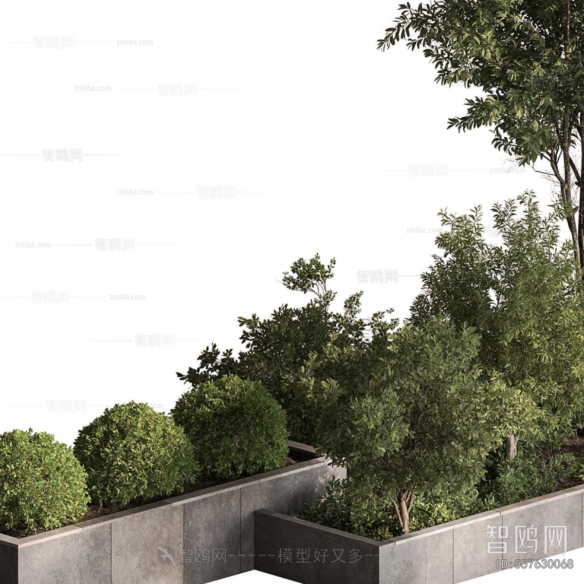 Modern Plant Pile