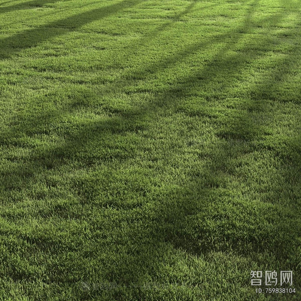 Modern The Grass