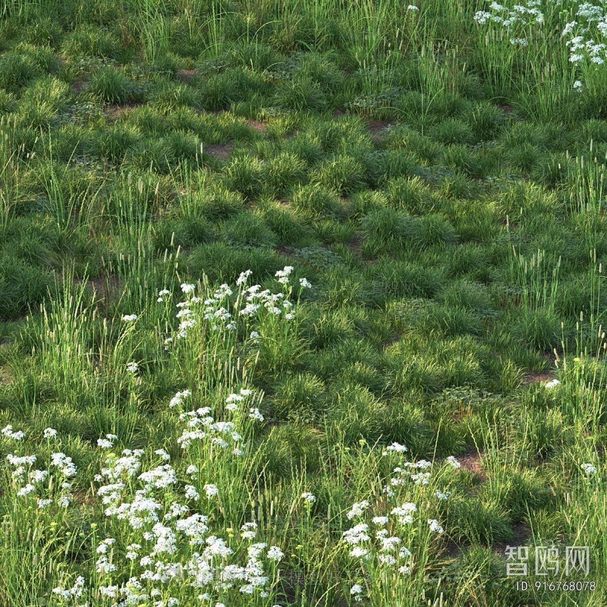 Modern Flowers And Grass