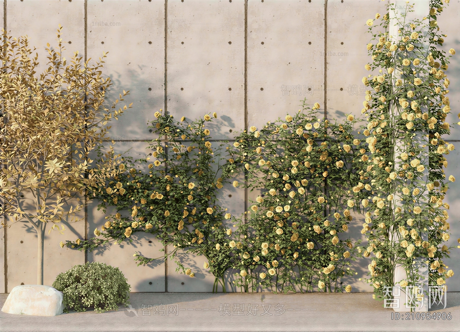 Modern Vine