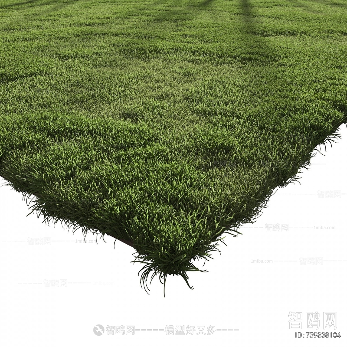 Modern The Grass