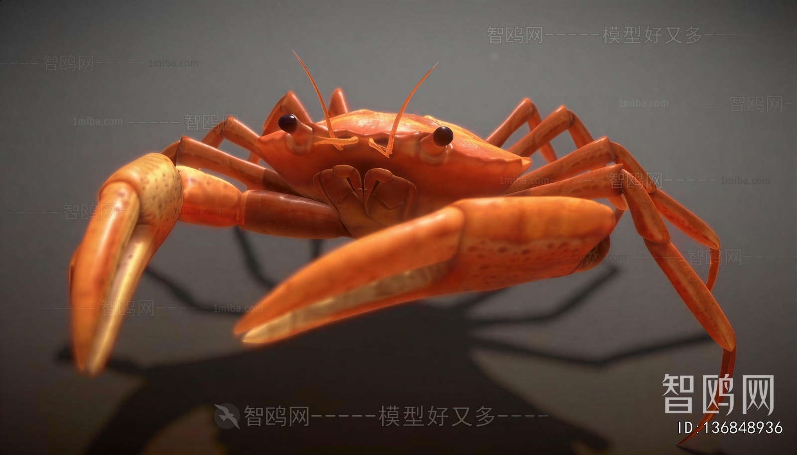 Modern Aquatic Animals
