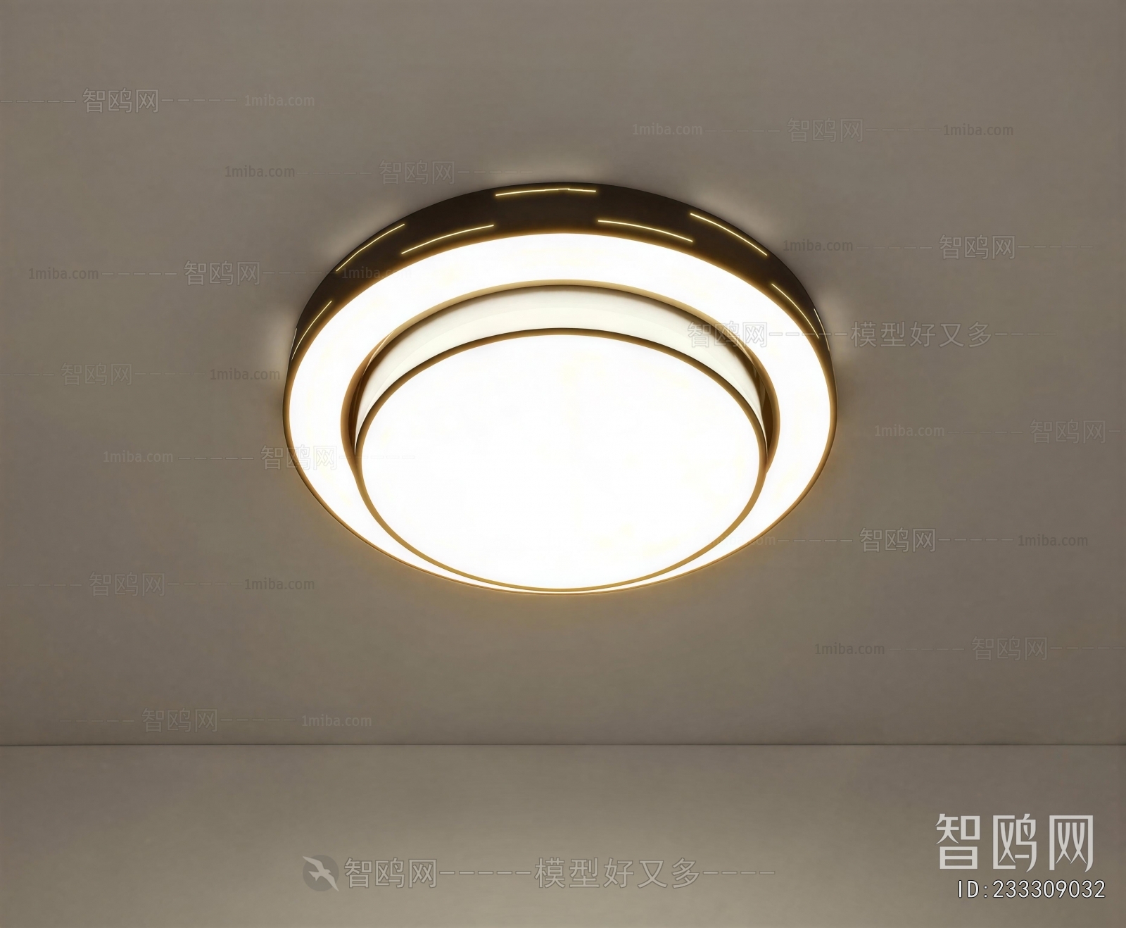 Modern Ceiling Ceiling Lamp