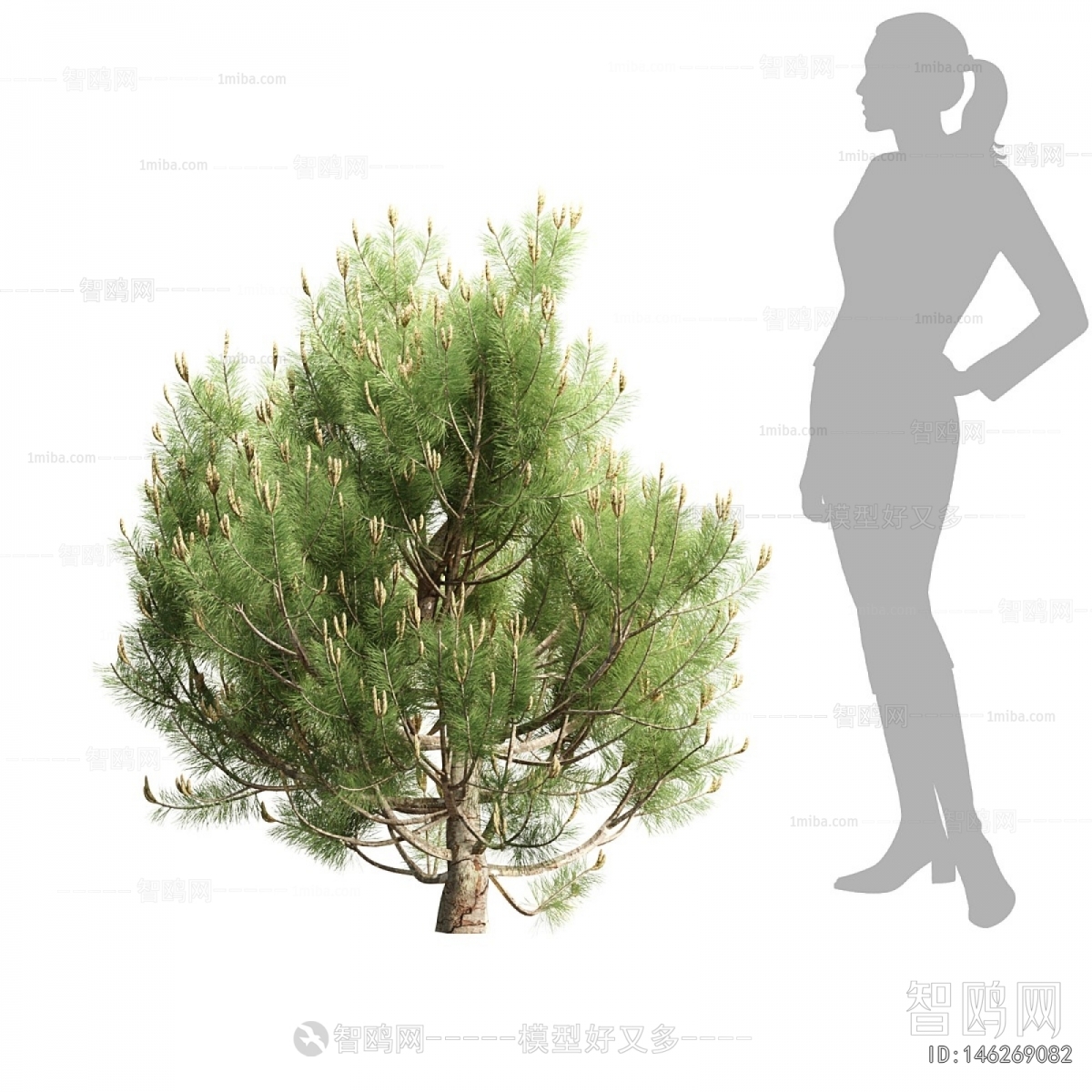 Modern Shrubbery