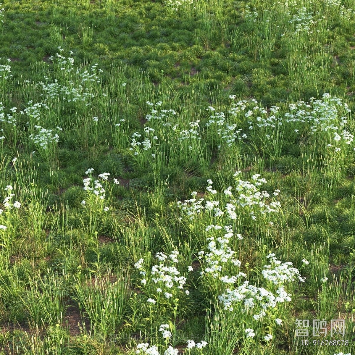 Modern Flowers And Grass