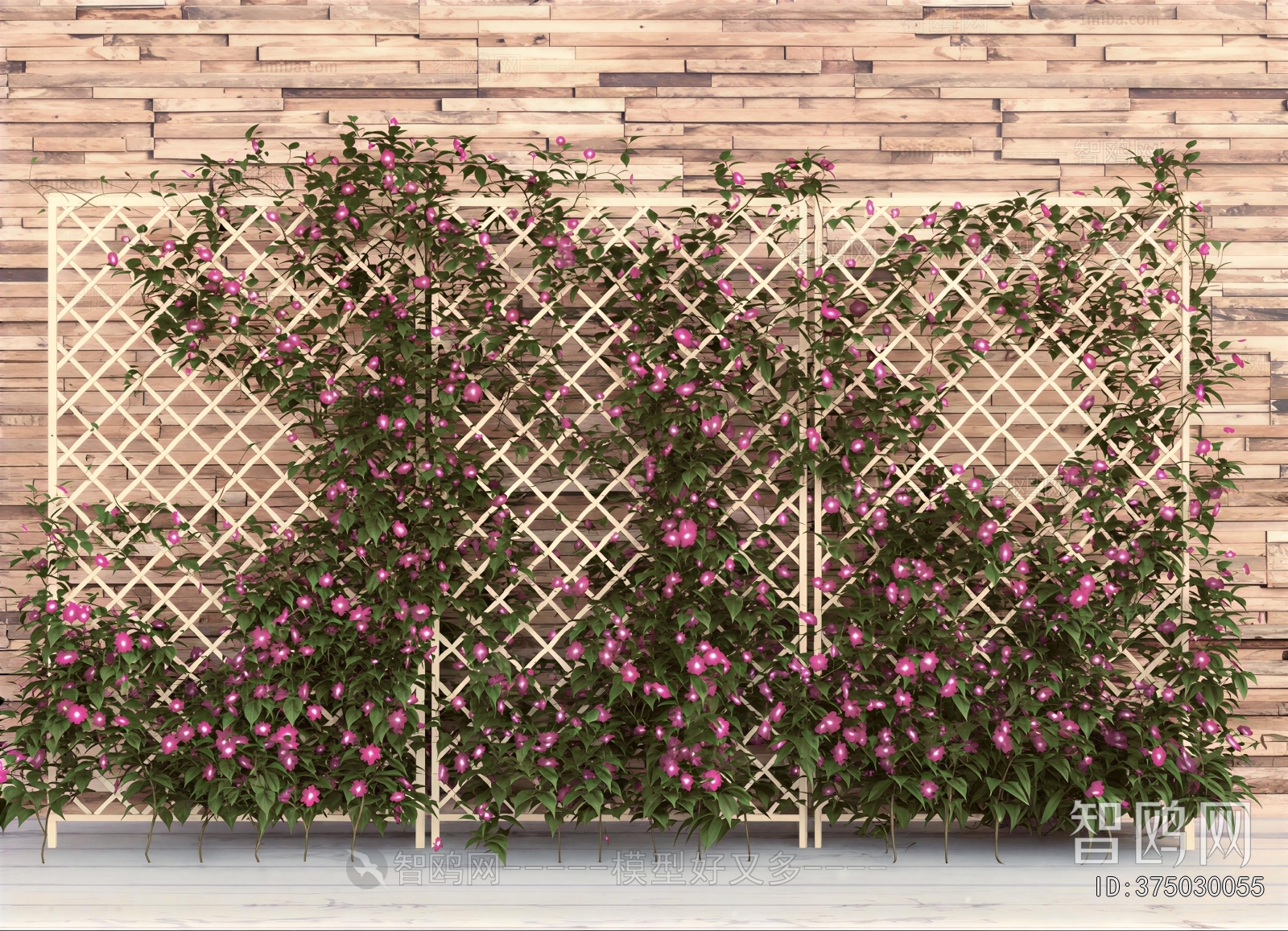 Modern Vine