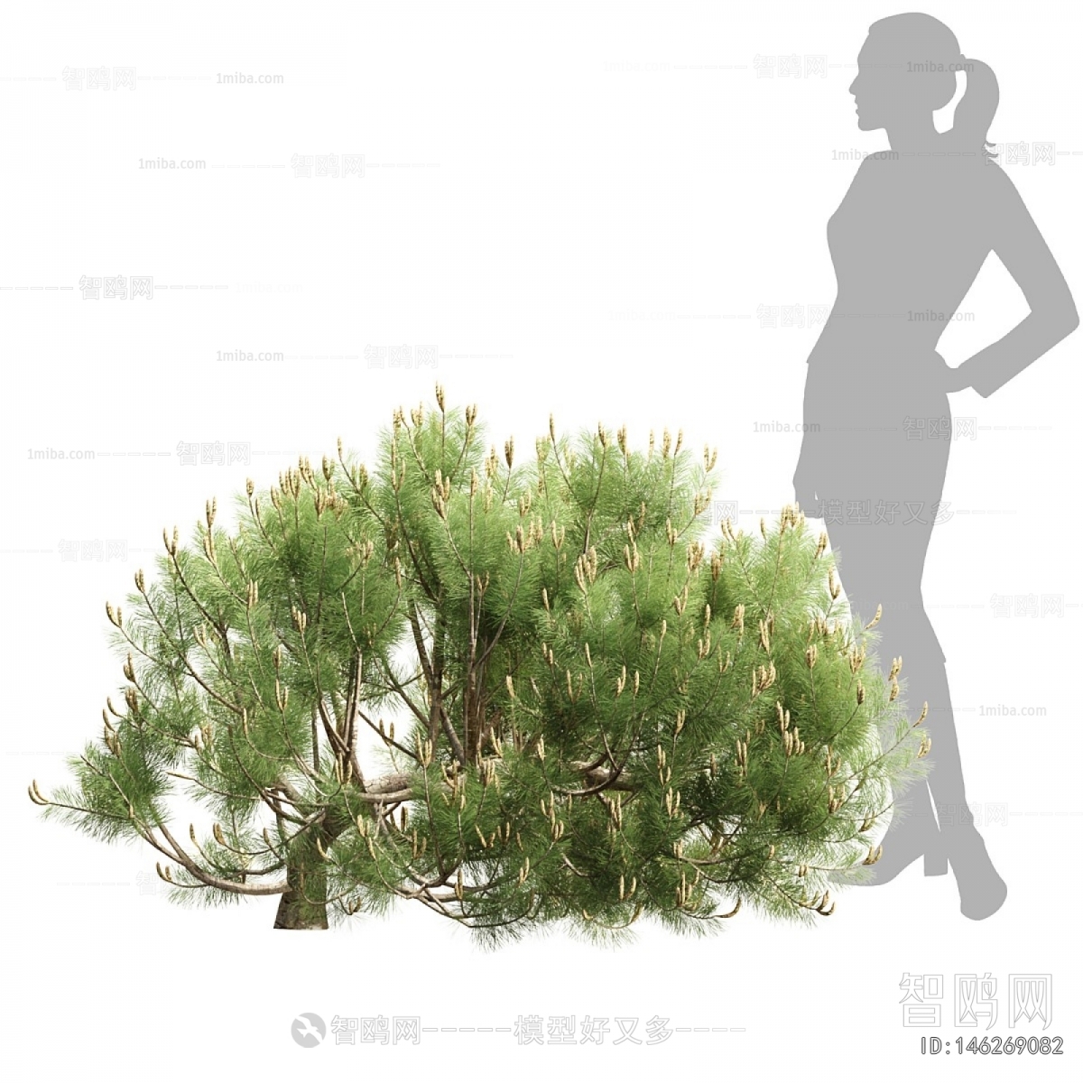 Modern Shrubbery