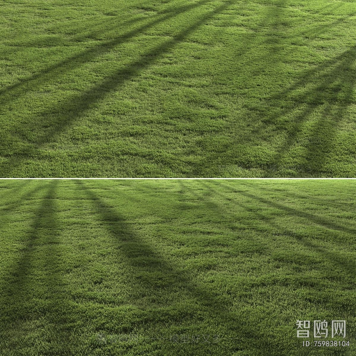 Modern The Grass
