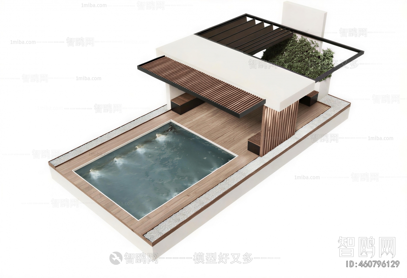 Modern Swimming Pool