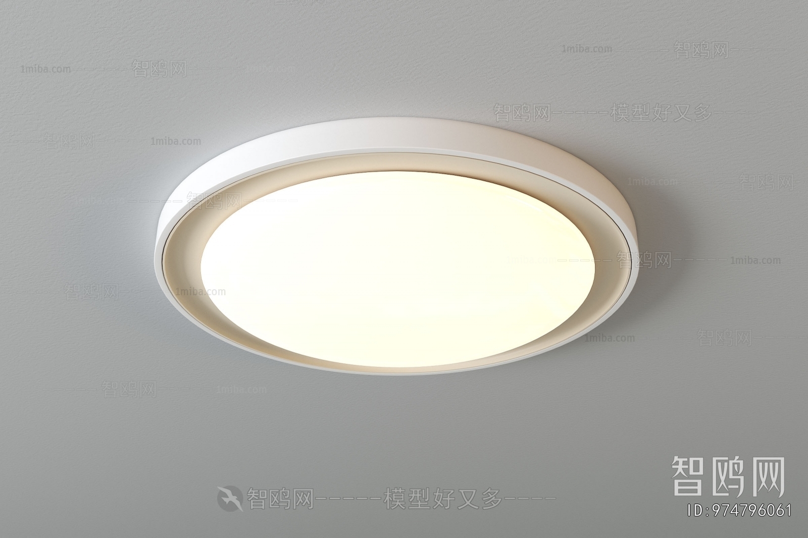 Modern Ceiling Ceiling Lamp