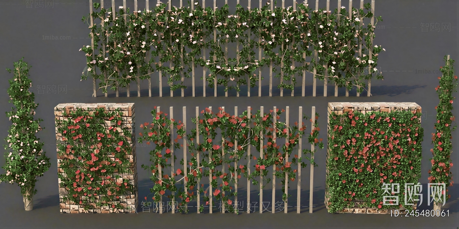 Modern Vine