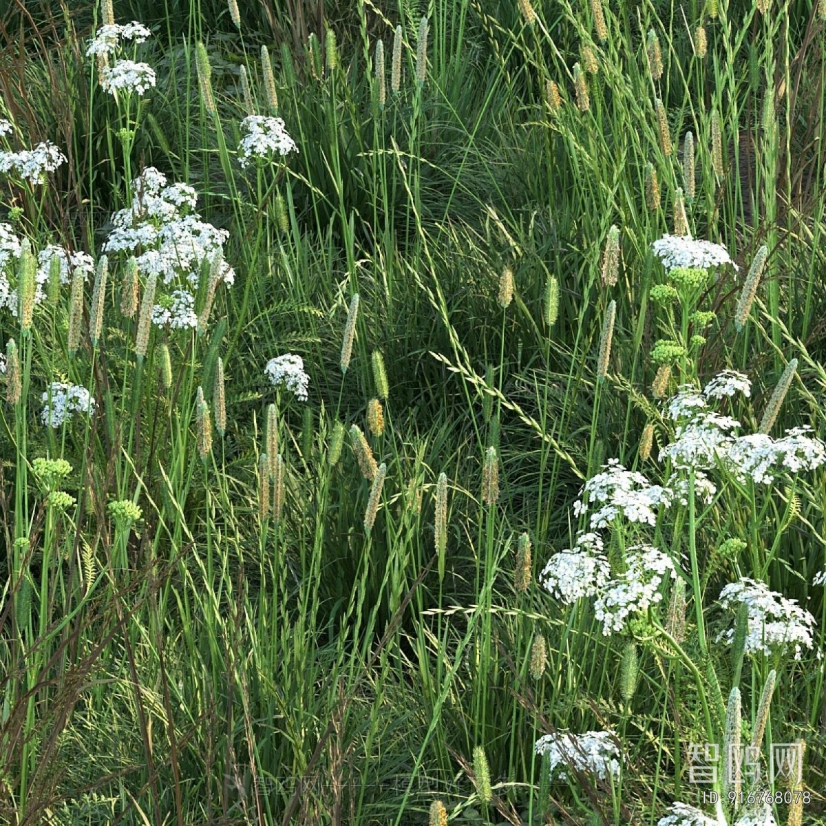 Modern Flowers And Grass