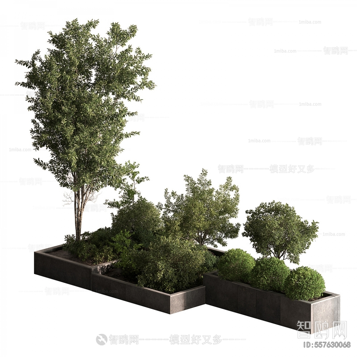 Modern Plant Pile