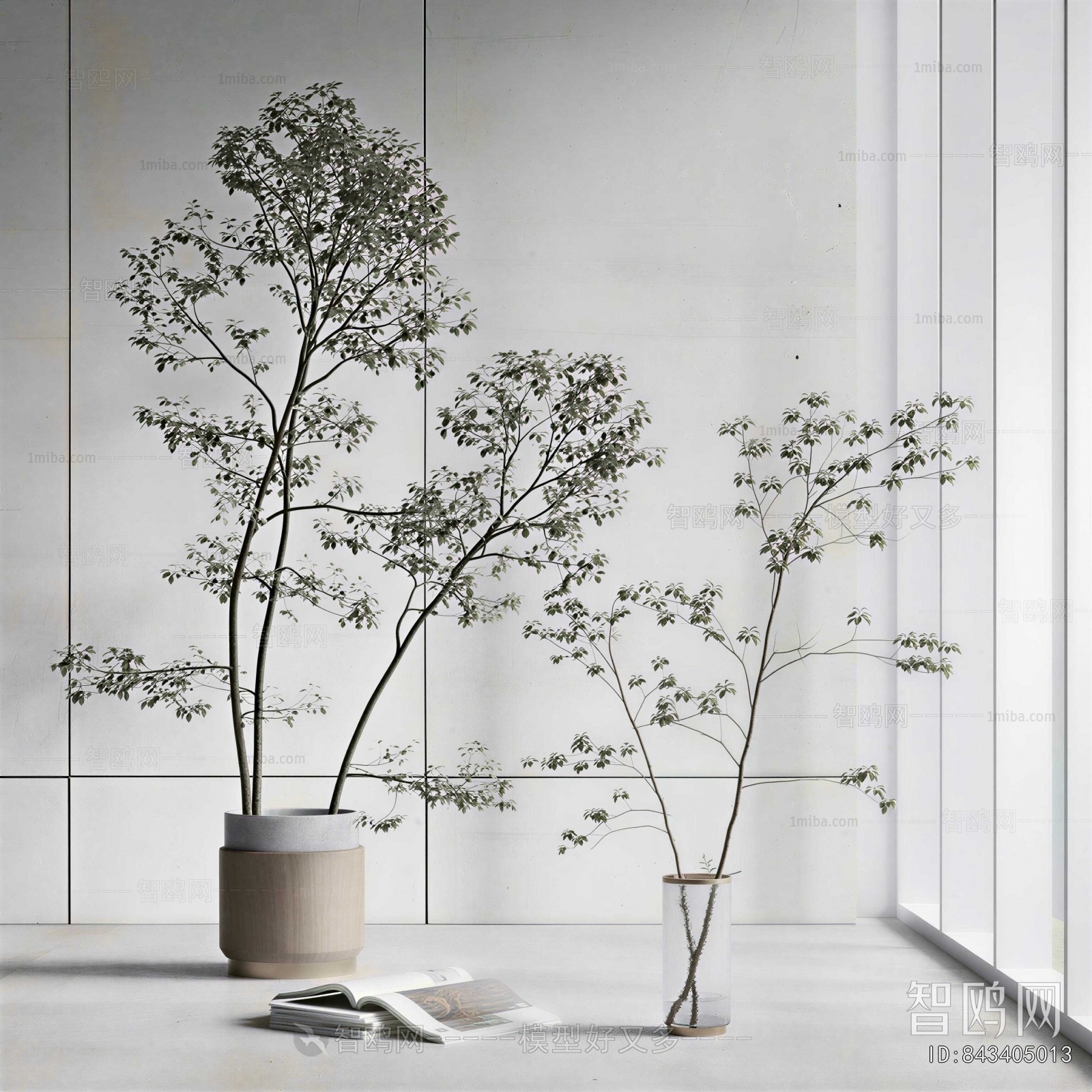 Modern Ground Green Plant Potted Plants