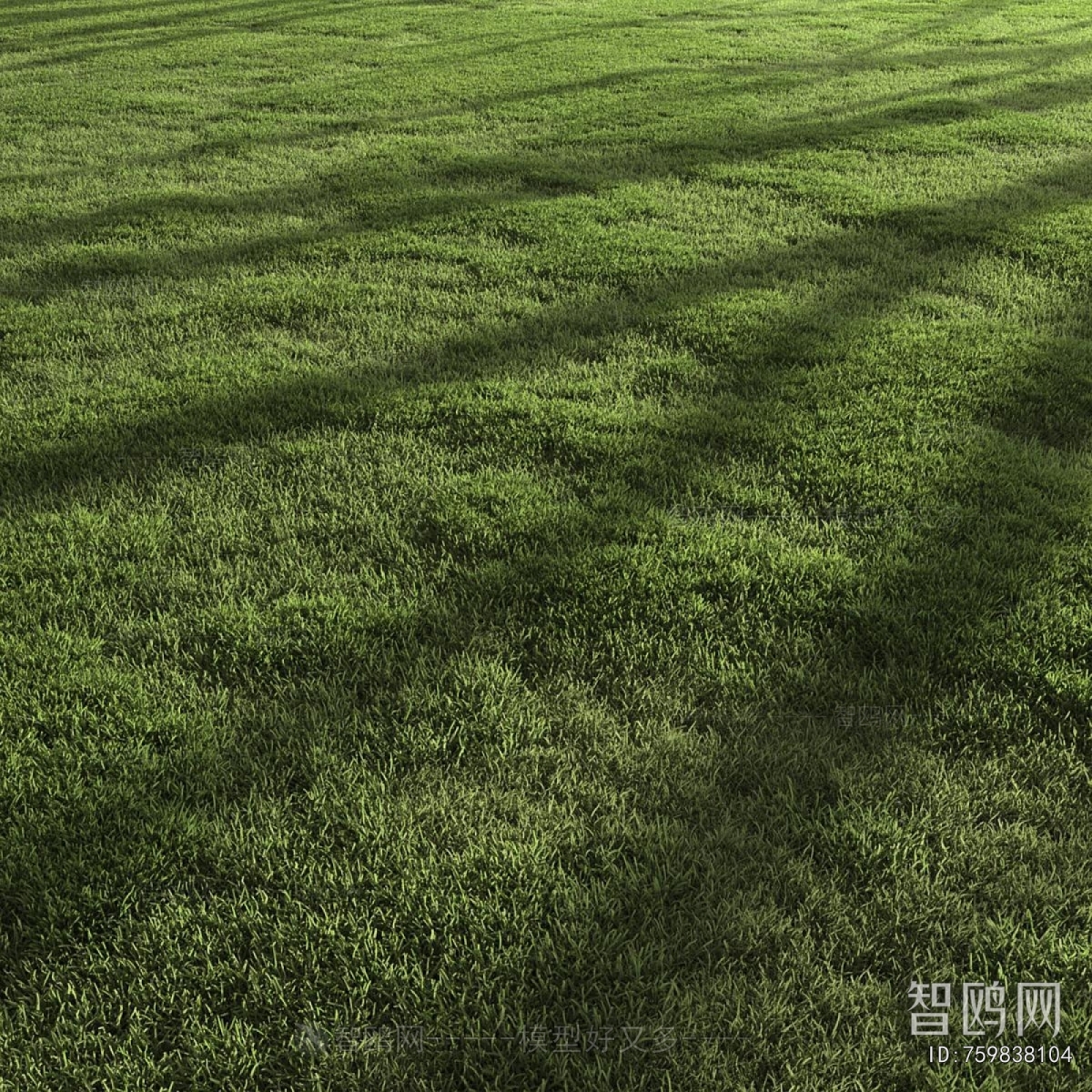 Modern The Grass